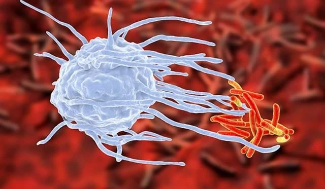 Νέα αντιβιοτικά εξουδετερώνουν τα υπερανθεκτικά μικρόβια